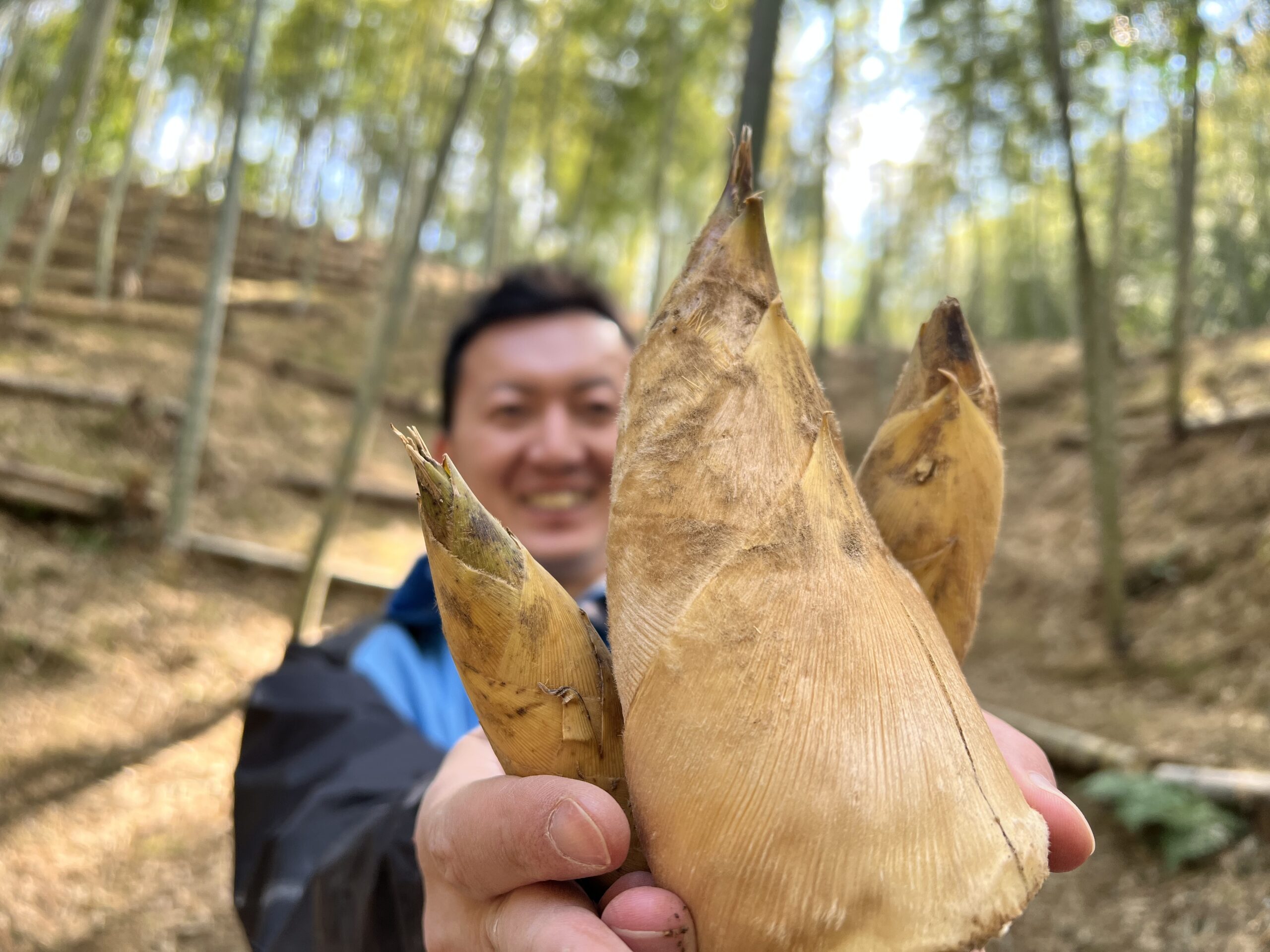 荒れた竹林を整備すれば、おいしい『たけのこ』って本当にできる?